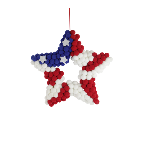Qixiang Craft: Starlight shines on American Independence Day